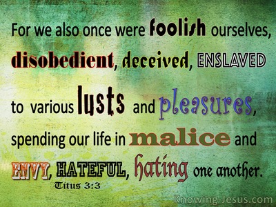 Titus 3:3 We Also Were Foolish Ourselves (green)